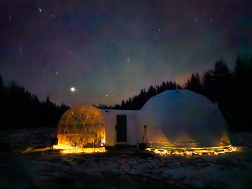 Frozen Sea Aurora Igloo